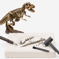 Dinosaur Fossil Excavation Dig Kit, STEM Science Toy for Kids