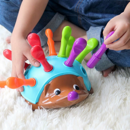 Montessori hedgehog toy toddler playing