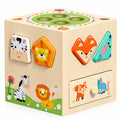 5-in-1 Wooden Shape Sorting Cube with Carrot Game