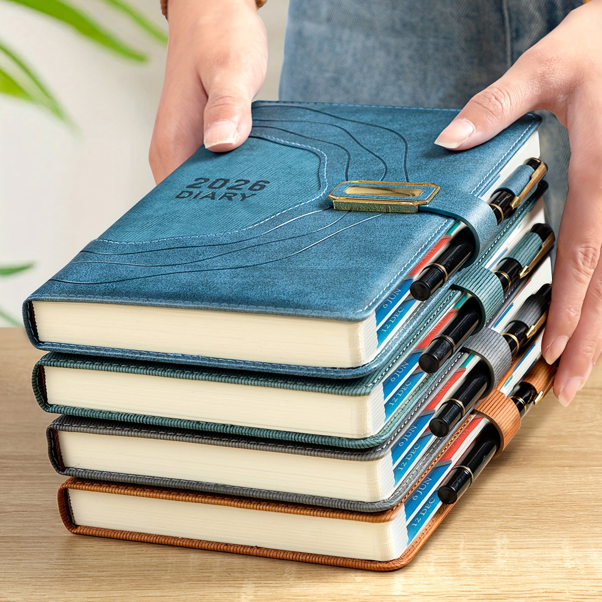 2026 daily planner overview