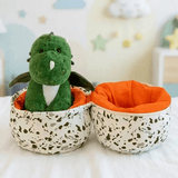 Dinosaur Egg Plush Toy with Hatching Dinosaur Inside thumbnail 1