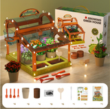 Acryl-Kinder-Gewächshaus – Set zum Pflanzenanbau drinnen Miniaturansicht 4