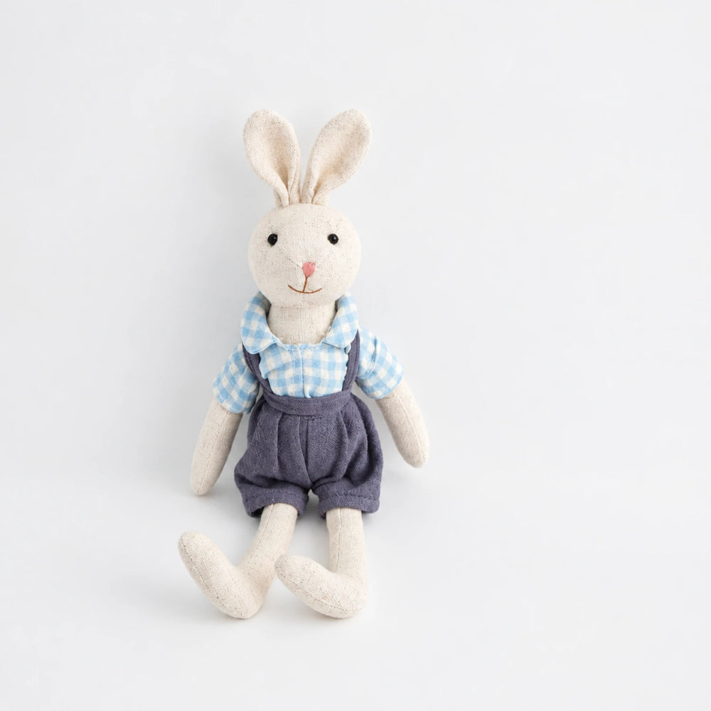 Soft Plush Bunny & Mouse Doll, Dressed Animal Toy for Kids