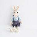 Soft Plush Bunny & Mouse Doll, Dressed Animal Toy for Kids
