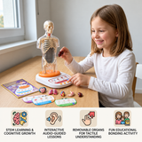 Interactive Talking Anatomy Model for Kids with Removable Organs miniatuur 2