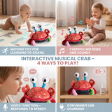 Interactive Musical Crab Toy with Voice Function thumbnail 4