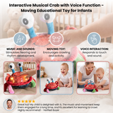 Interactive Musical Crab Toy with Voice Function thumbnail 5