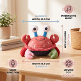 Interactive Musical Crab Toy with Voice Function thumbnail 6