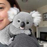 Weighted Koala Plush – Anxiety & Stress Relief Comfort Toy thumbnail 2