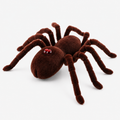 Remote Control Prank Spider – Halloween Scare Toy