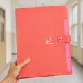 Coloured A4 File Folder Paper Organiser with Pockets