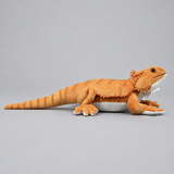 Realistic Bearded Dragon Lizard Plush Toy - Soft Lifelike Stuffed Reptile, 3+ Years thumbnail 2