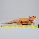 Realistic Bearded Dragon Lizard Plush Toy - Soft Lifelike Stuffed Reptile, 3+ Years thumbnail 4