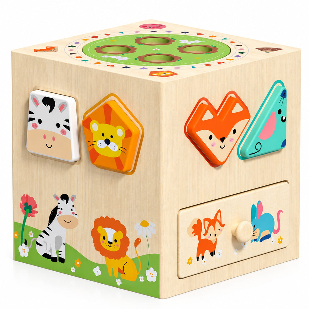 5-in-1 Wooden Shape Sorting Cube with Carrot Game