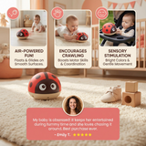 Ladybug Baby Swing Ball | Hanging Sensory Play Toy thumbnail 5