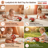 Ladybug Baby Swing Ball | Hanging Sensory Play Toy thumbnail 6