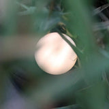 Silicone Touch Night Light for Feeding & Nursery thumbnail 4